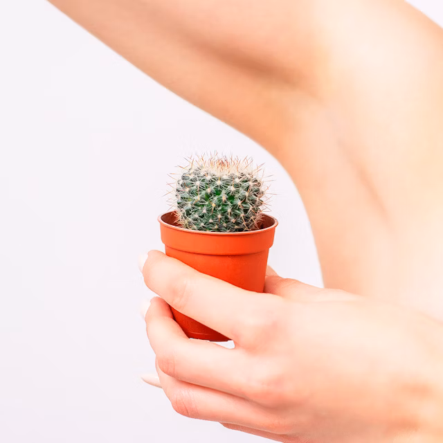 Épilation en institut de beauté : toutes les techniques